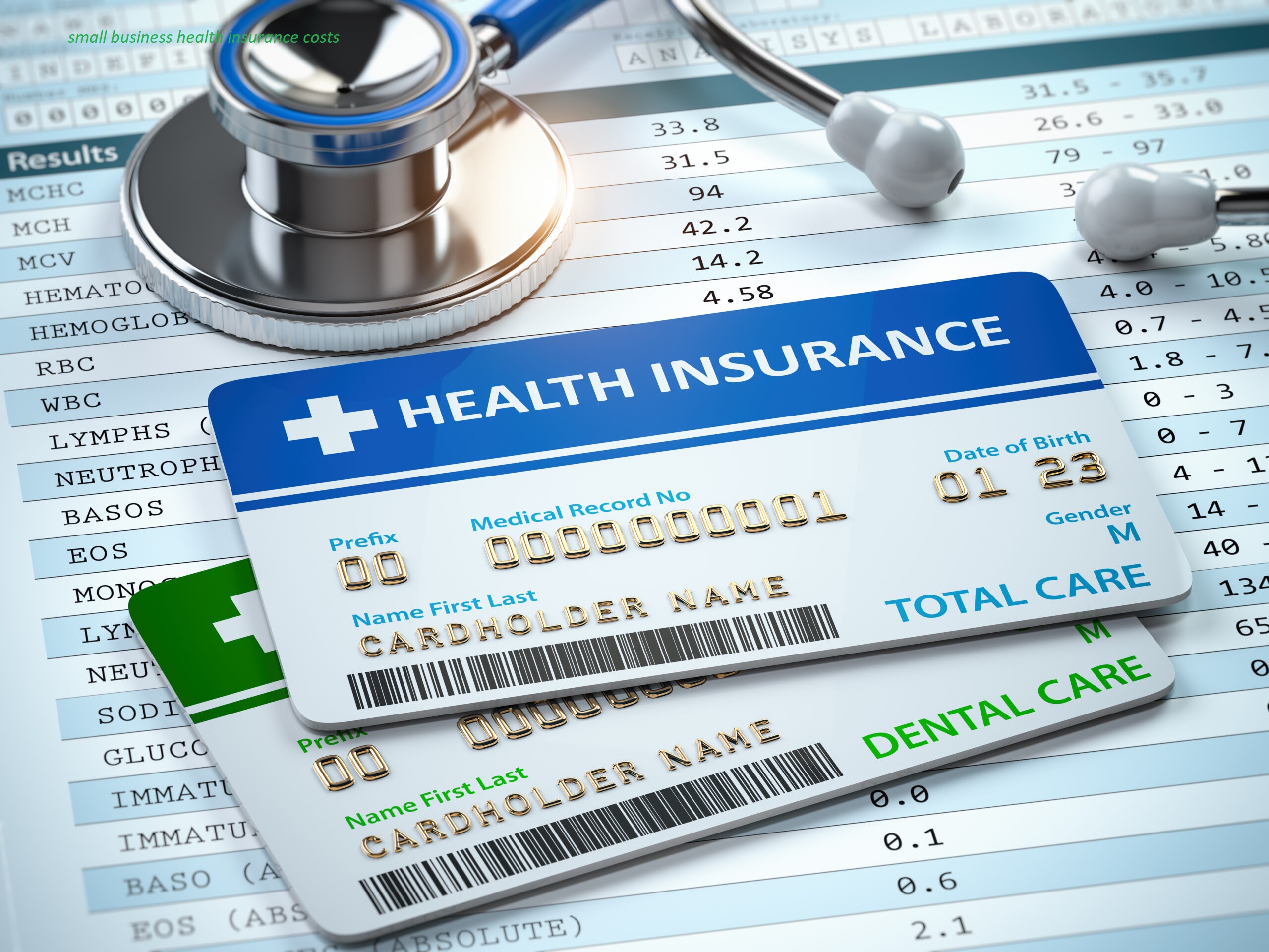 small business health insurance costs