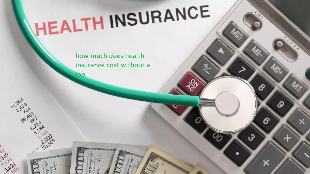 How much does health insurance cost without a job