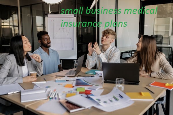 small business medical insurance plans