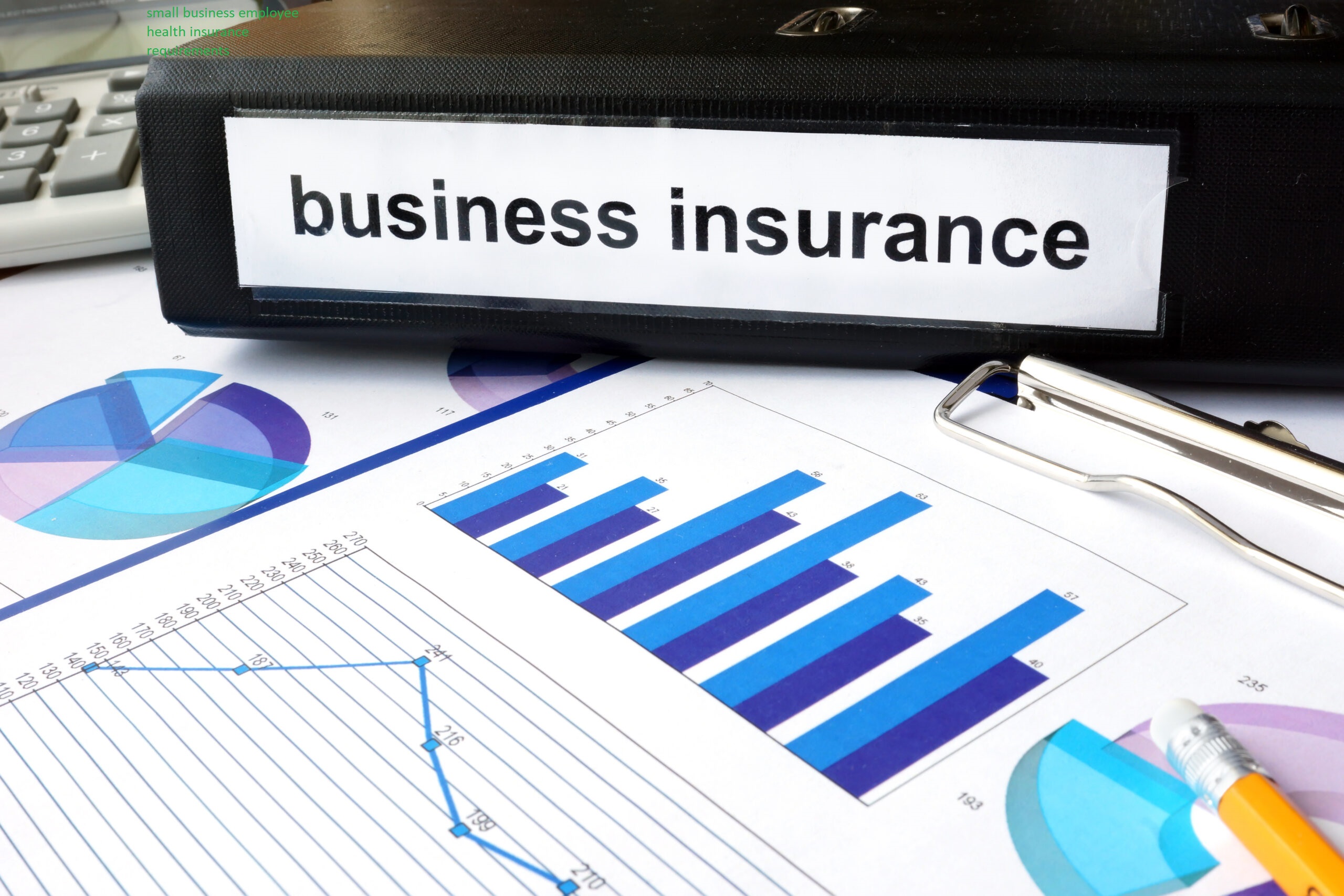 small business employee health insurance requirements