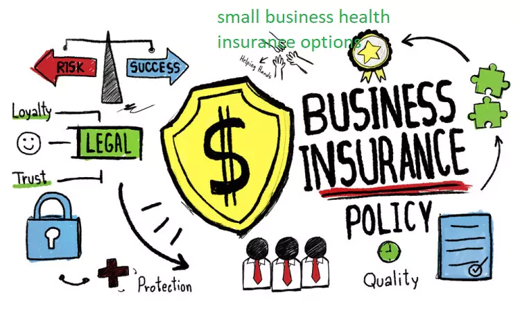 Small business health insurance options