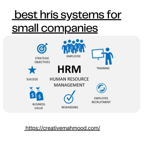 best hris systems for small companies