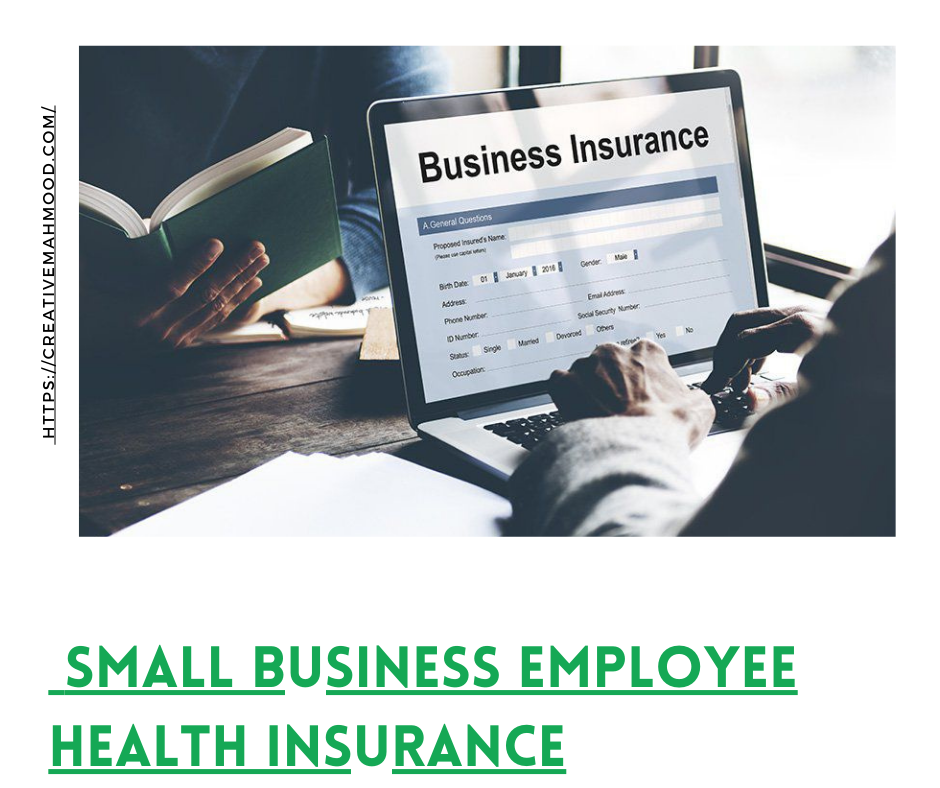 Small business employee health insurance