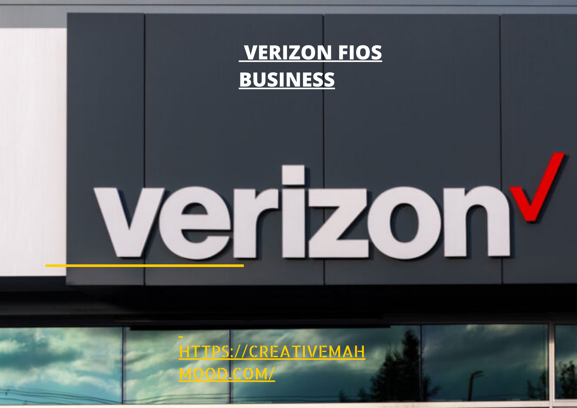 Verizon Fios business