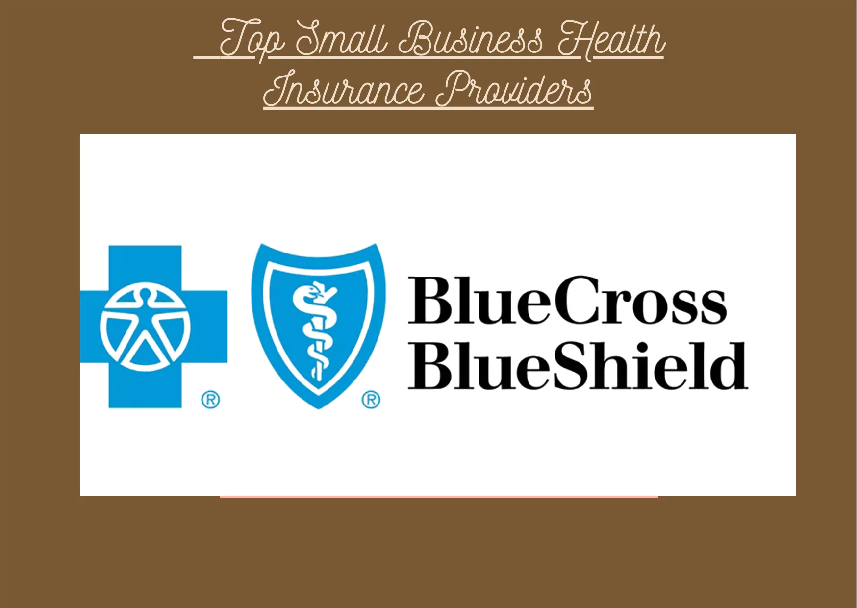 Top Small Business Health Insurance Providers