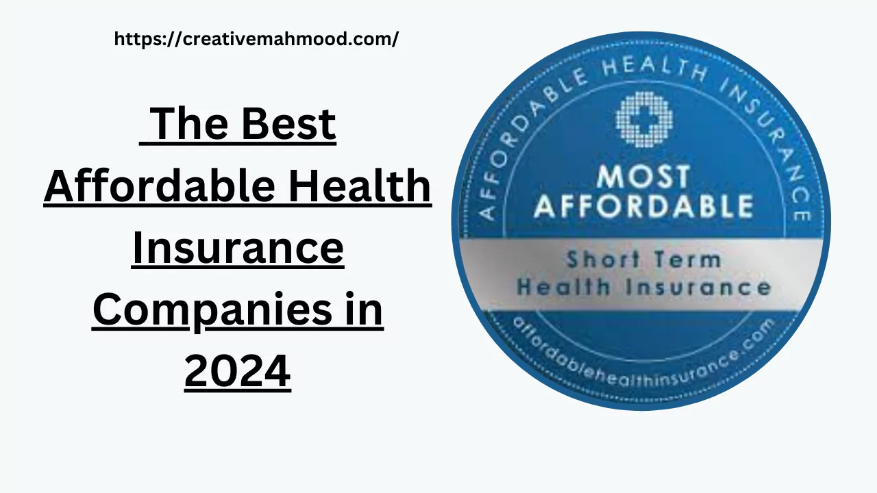 The Best Affordable Health Insurance Companies in 2024