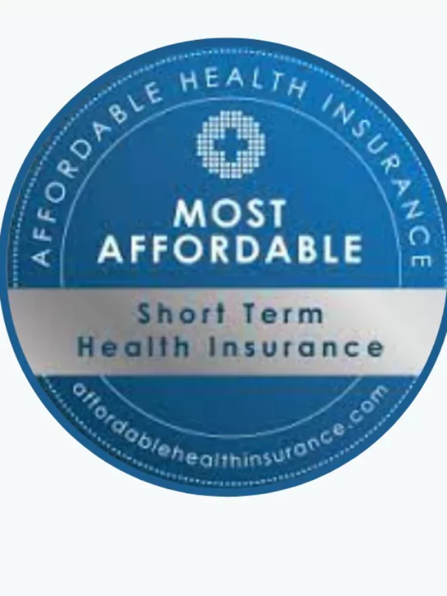 The Best Affordable Health Insurance Companies in 2024