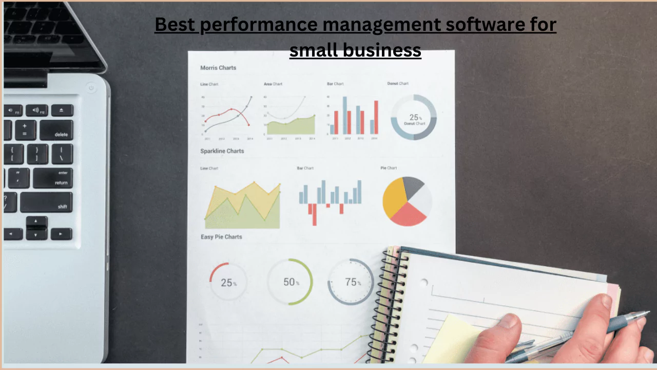 Best performance management software for small business