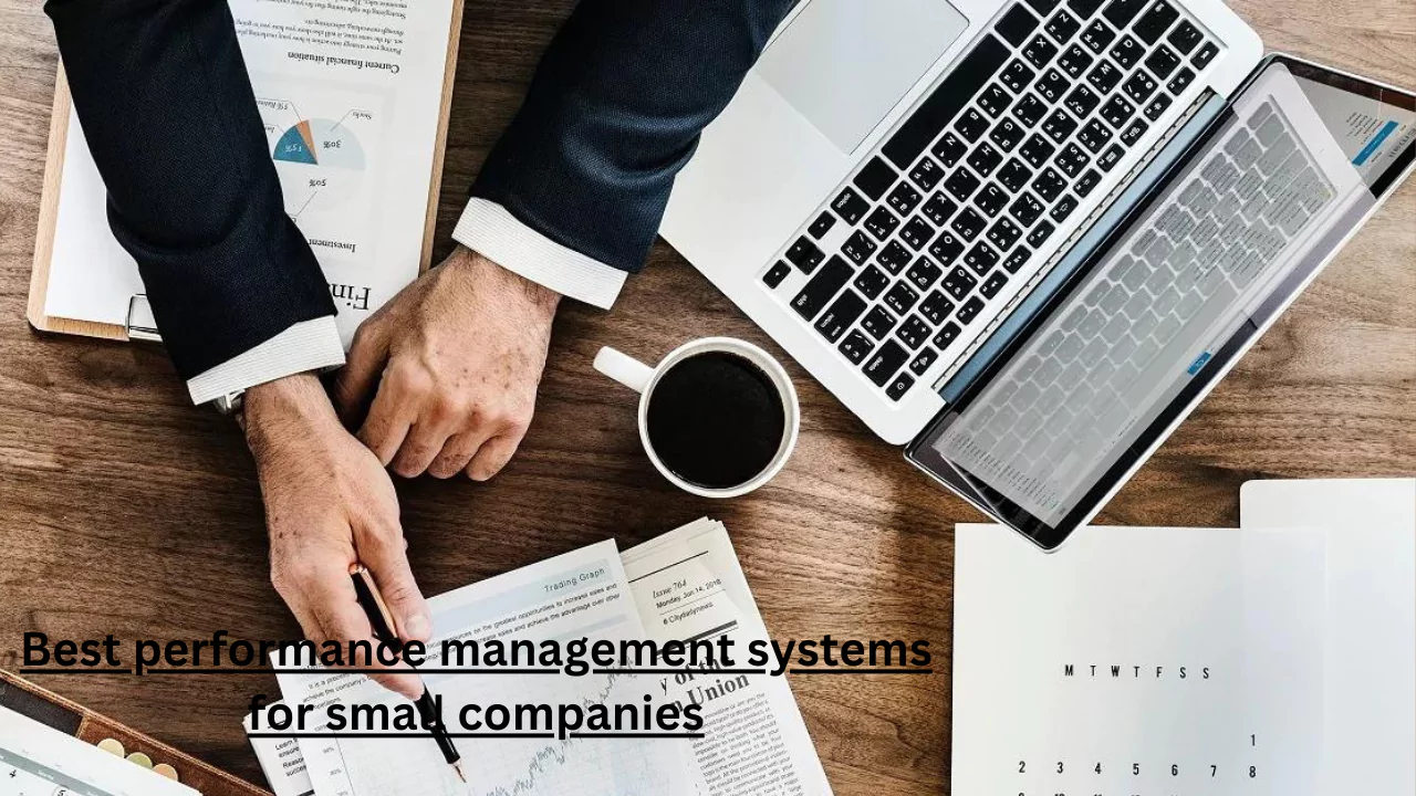 Best performance management systems for small companies
