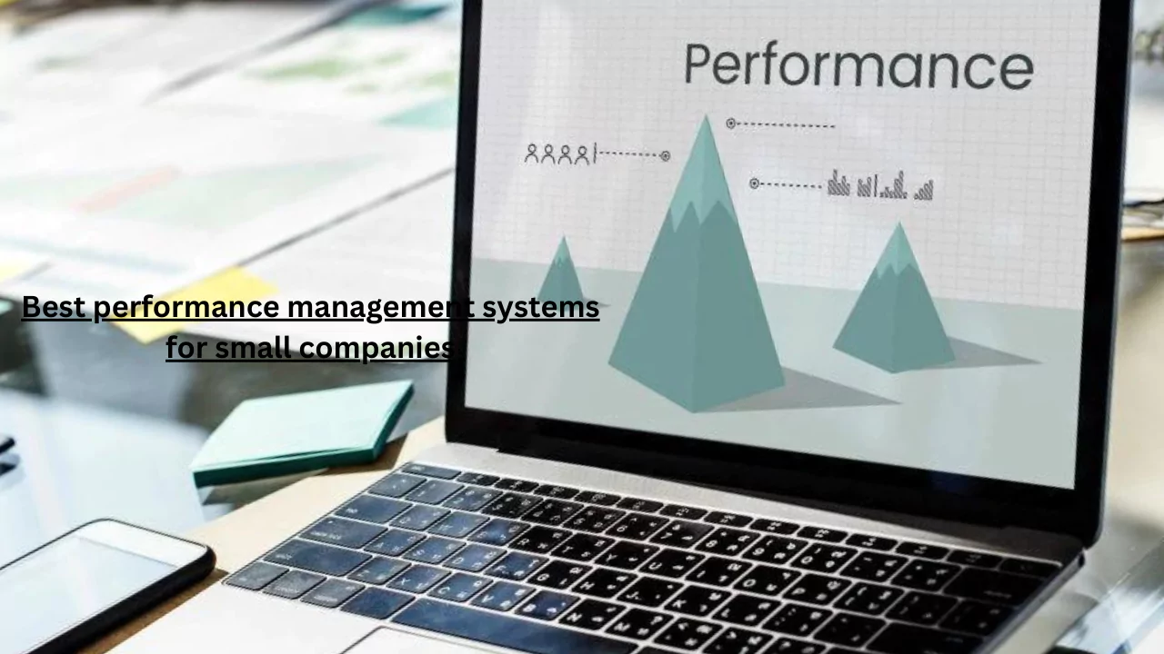 Best performance management systems for small companies