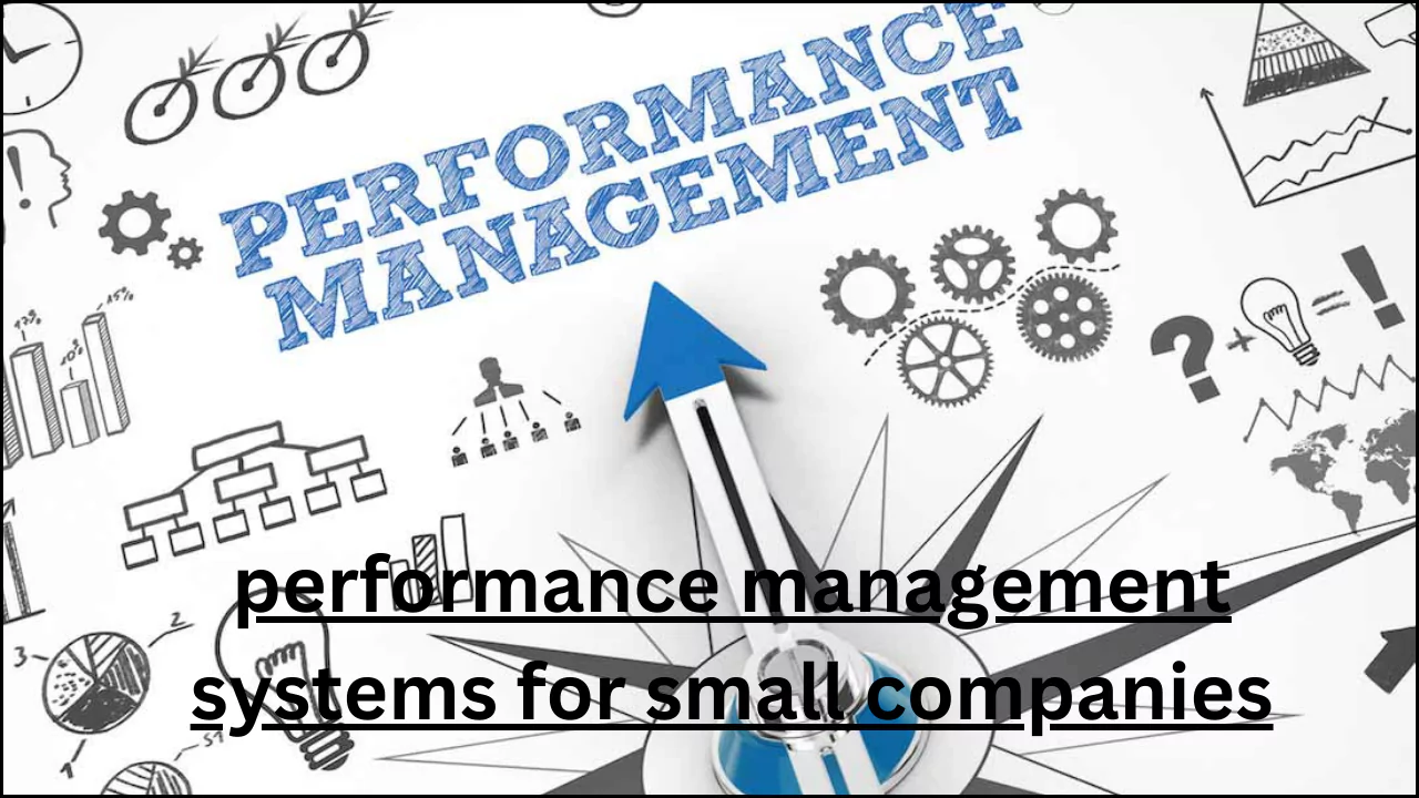 performance management systems for small companies
