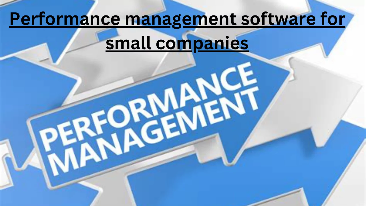 Performance management software for small companies