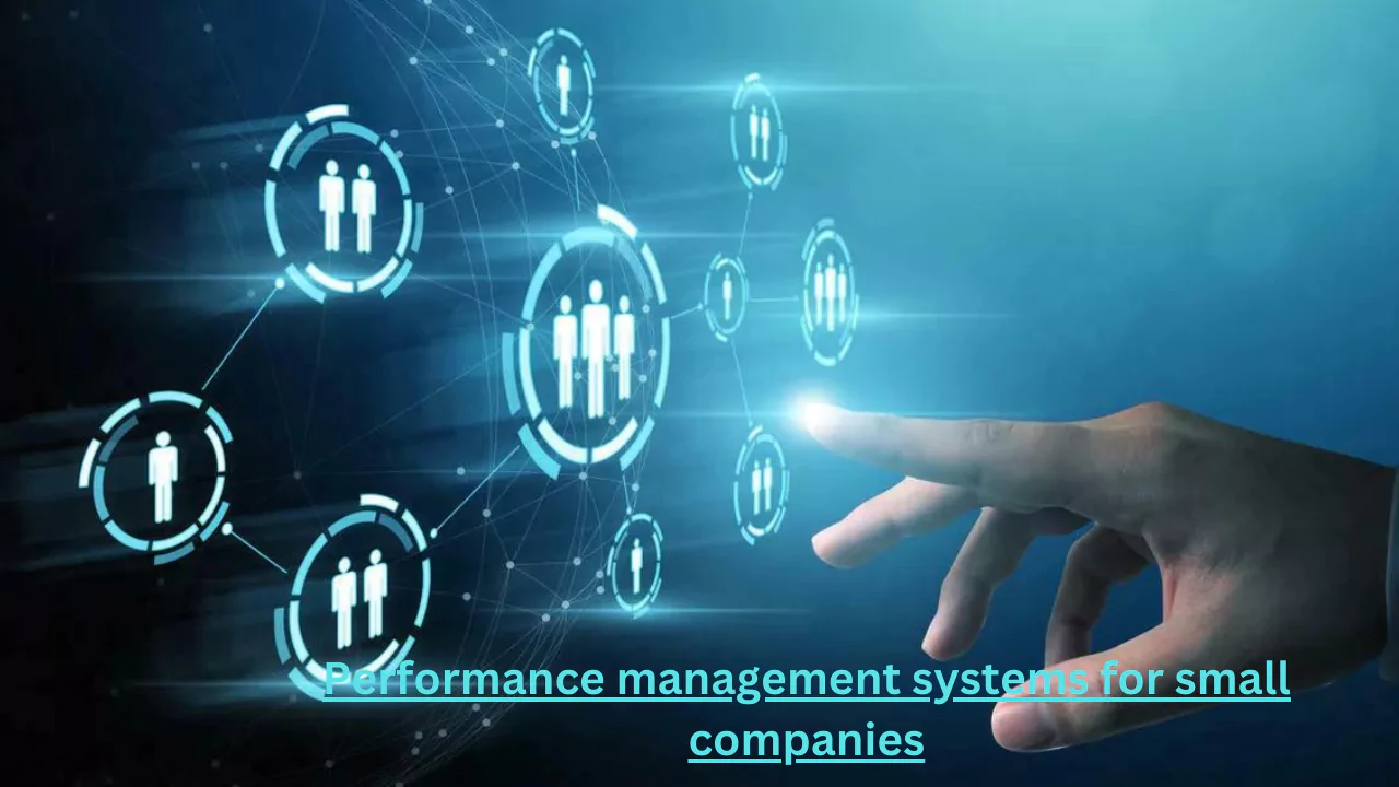 Performance management systems for small companies